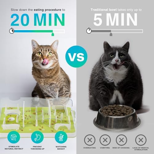 ALL FOR PAWS Interactive Cat Puzzle Feeder & Slow Feed Toy – Mental Stimulation Treat Dispenser Maze for Indoor Cats, Enrichment & Cat Food Toy - Image 3