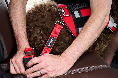 Support Pets Dog Seat Belt for Car – Adjustable Dog Safety Seatbelt Harness for Dogs & Puppies – Vehicle Seatbelt Clip for Secure Pet Travel – Durable Dog Accessories & Travel Restraint – Red 1 Pack - Image 2