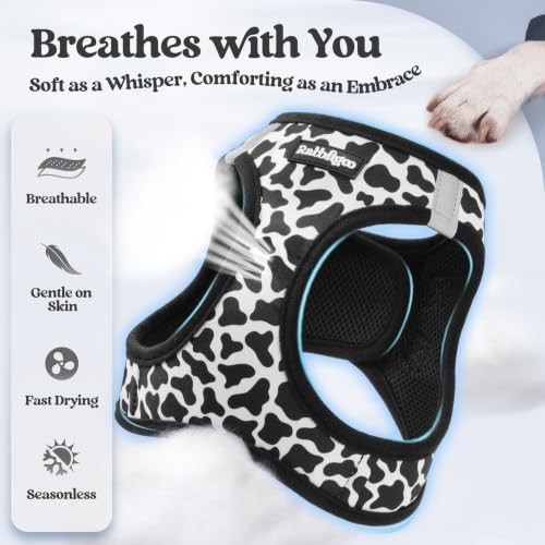 rabbitgoo Dog Harness Small Sized and Leash Set, Step-in Puppy Pet Vest - Image 4