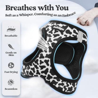 rabbitgoo Dog Harness Small Sized and Leash Set, Step-in Puppy Pet Vest - Image 4