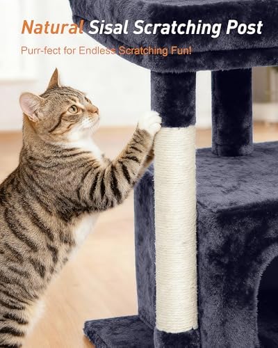 23.6" Cat Tree for Large Cat, 19 * 15.8 in Large Perch, Dark Gray - Image 4