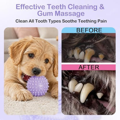6 Pack Dog Chew Toys, Purple, Small Dog Teething Toys, Soft Durable Interactive Toys for Puppies - Image 5