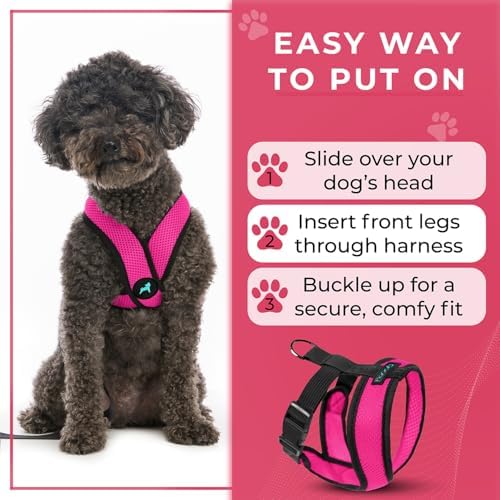 Gooby Comfort X Head-in Dog Harness, Choke-Free, Flamingo Pink, X-Large - Image 6