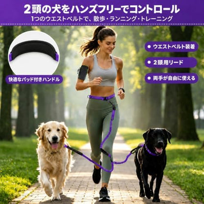 Hands Free Double Dog Leash, 4 Reflective Padded Handles, Adjustable Waist Belt 27-51", Shock-Absorbing Bungee, 360° Swivel Clips, for Small, Medium & Large Dogs, Walking Jogging Running - Image 2