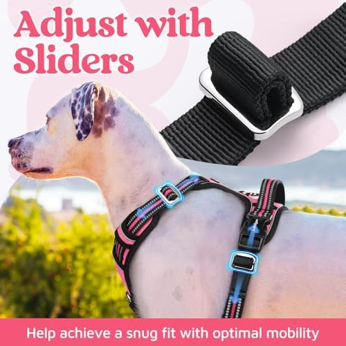 rabbitgoo Dog Harness Small Sized, No Pull 3 Buckles Easy On & Off - Image 5