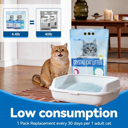 Made4Pets Cat Litter Crystals,Non Clumping Litter 17.2 lbs(4 x 4.3lb Packs) - Image 4