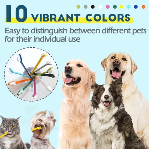 Dog Toothbrush Set of 10 - Dual Headed Tooth Brushes for Small to Large Dogs, Cat, Puppy, Kitten & Most Pet, Double Sided Teeth Cleaning Bulk Kit with Soft Bristles Long Handle, 10 Colors - Image 3