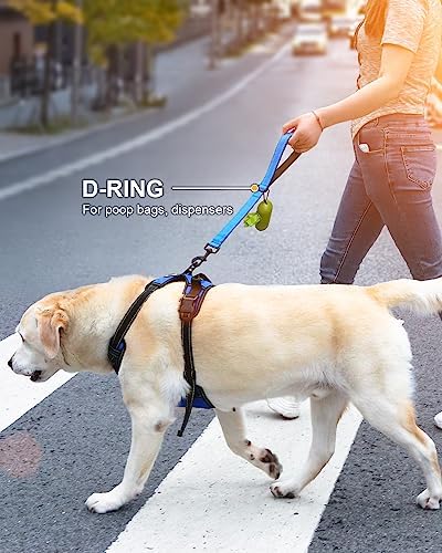 Joytale Short Dog Leash for Close Control & Training, 24", Aqua Blue - Image 6