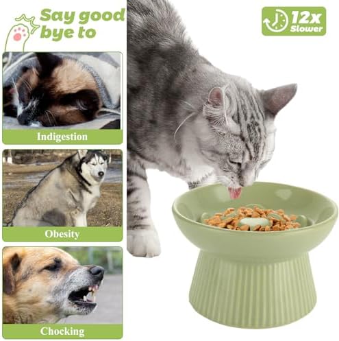 ABuff 2 Pack Raised Cat Slow Feeder, Elevated Slow Feed Dish for Cats and Small Dogs, Ceramic Slow Feeder Cat Bowl, No Spill High Edge for Dry/Wet Food(Blue, Green) - Image 7