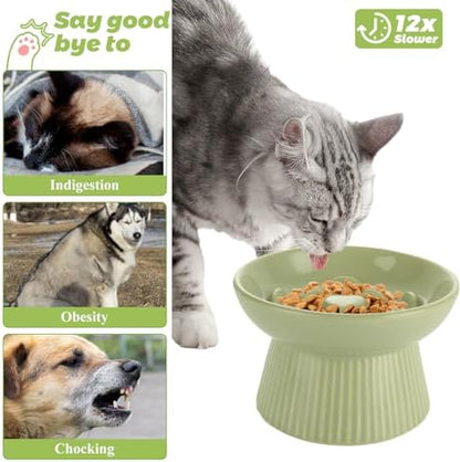 ABuff 2 Pack Raised Cat Slow Feeder, Elevated Slow Feed Dish for Cats and Small Dogs, Ceramic Slow Feeder Cat Bowl, No Spill High Edge for Dry/Wet Food(Blue, Green) - Image 7