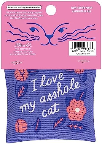 Blue Q Catnip - Cute Cat Toys for Biting w/Funny Graphics - I Love My Cat - Image 2