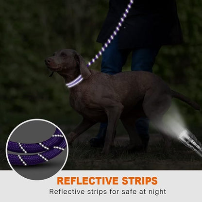 Taglory Rope Dog Leash 6 FT with Comfortable Padded Handle, Highly Reflective Threads Leash and Anti-Tangle Clip for Walking Medium Large Dogs, 1/2 inch, Purple