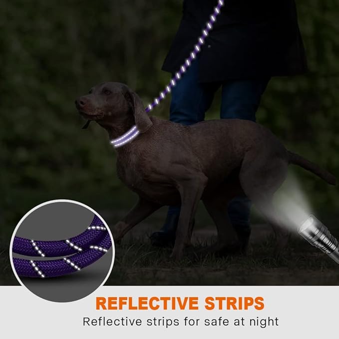 Taglory Rope Dog Leash 5 FT with Comfortable Padded Handle, Highly Reflective Threads Leash and Anti-Tangle Clip for Walking Medium Large Dogs, 1/2 inch, Purple