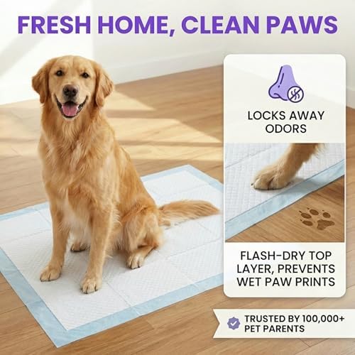 BV Puppy Pads XL 40 Count 34"x28" - Leak-Proof Pee Pads for Dogs with 6-Layer Design, Rapid Dry Sheet & Attractant - Dog Pad Extra Large with Odor Control - Perfect for Big Dogs & Indoor Use - Image 6