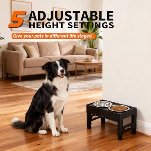 Elevated Dog Bowls with 2 Stainless Steel Bowls, 5-Height Adjustable Stand (3.1", 9" to 12"), for Improved Digestion & Neck Support, Easy Clean, Non-Slip Base Raised Feeder for Medium Large Dogs - Image 2
