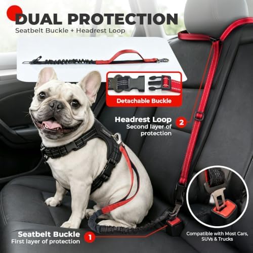 PETCARE 4 in 1 Hands Free Dog Leash with Car Seatbelt Buckle, Shock Absorbing Bungee Dog Waist Leash Belt for Running Walking Hiking, Dual Handles & Reflective, Adjustable for Small Medium Large Dogs - Image 7