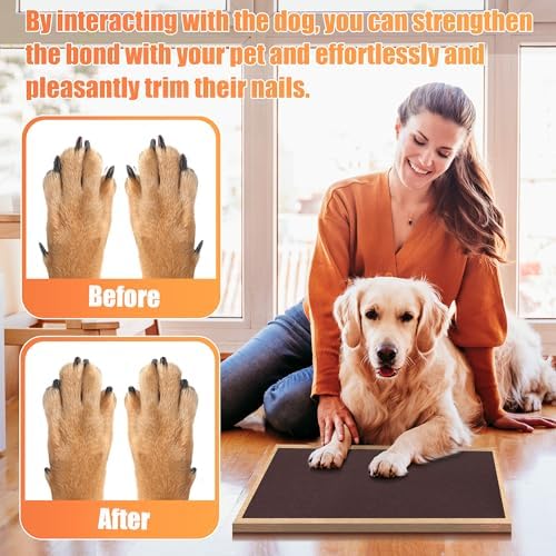 Pet Nail Self Adhesive Replacement Emery Paper, 10in*13ft, Brown - Image 3