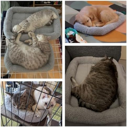 LESYPET Cat Bed for Indoor Cats, Cat Bed Curl Sleep Cushion with Raised Pillow Around, Washable Pet Mat for Cat/Rabbit/Dog, 16" x 22" - Image 2