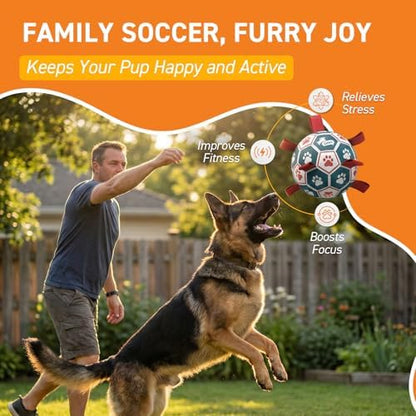 QDAN Large Dog Soccer Ball with Straps, 9 Inch Big Balls for >90 lbs Dogs - Image 2