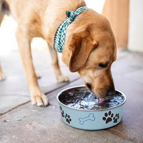 Loving Pets Bella Dog Bowls- Stainless Steel Dog & Cat Bowls - Spill Proof Dog Food Bowl, Cat Bowl, Puppy Essentials & Pet Supplies Great for Home & Travel (Medium 20-35 lbs, Murano Blue) - Image 6