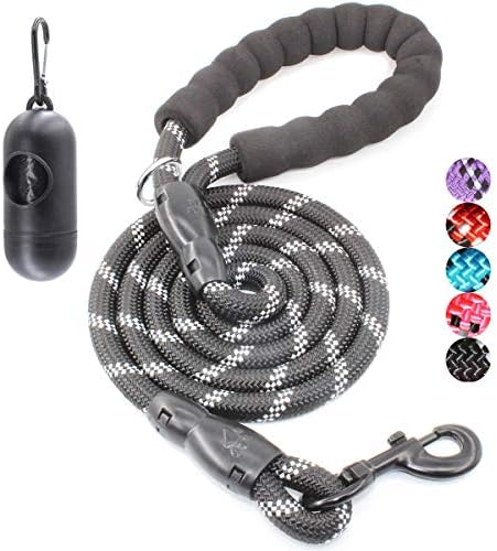 BAAPET 2/4/5/6 FT Dog Leash with Comfortable Padded Handle and Highly Reflective Threads for Small Medium and Large Dogs (4FT-1/2'', Black) by BAAPET