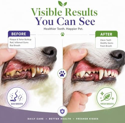 Pet Oral Care Spray, Cat & Dog Breath Freshener Spray, No Brushing - Image 3