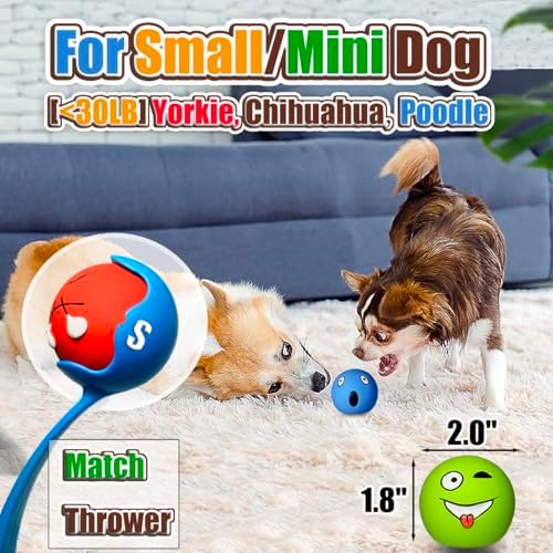 HOLYSTEED Latex Squeaky Dog Balls for Small Dogs, Mini Breed, 2" Round Toys - Image 2