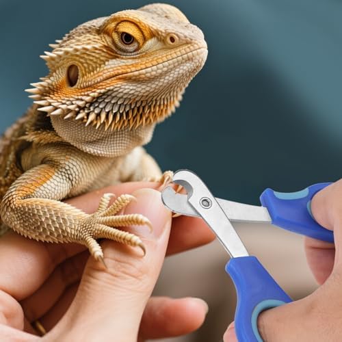 BOXOB Bearded Dragon Nail Clippers and File, Stainless Steel Small Animal Toe Nail Trimmer Scissors Professional Grooming Pet Tool for Reptiles Turtle Chameleon Iguana (Blue) - Image 7
