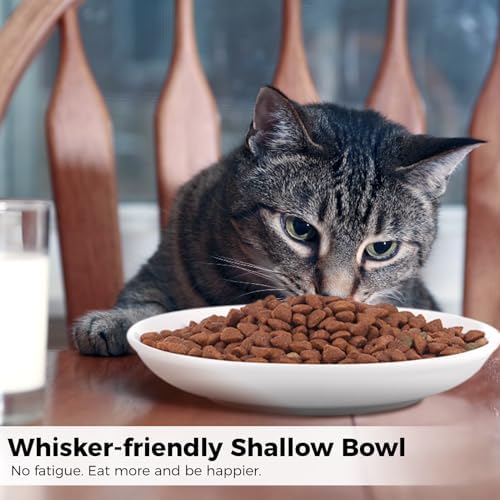 2 Ceramic Cat Bowls, 5.9 Inch Wide Shallow Feeding Dishes for Dry/Wet Food - Image 2