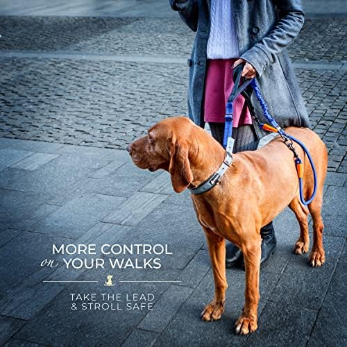 SparklyPets - Heavy Duty Bungee Rope Leash for Large and Medium Dogs - No Pull, Shock Absorber Long Dog Training Lead - No Slip Reflective Line for Outside (5.5 Ft Bungee Leash) - Image 6