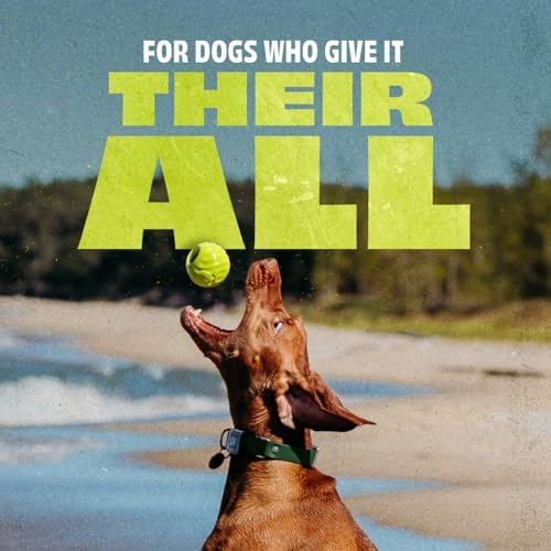 Benebone Natural Rubber Dog Ball, 1 Pack - Image 2