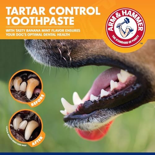 Arm & Hammer Tartar Control Dog Dental Kit, Banana Mint, 3-Piece, 2-Pack - Image 4