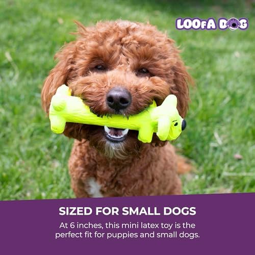 Multipet Original Loofa Latex Dog Toy - Squeaky Toy for All Dogs - Easy-to-Clean Squeaky Toys - Latex Dog Toys for Playing (1 Count, 6”, Random Color Surprise) - Image 6