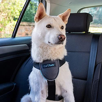 CarSafe Dog Travel Car Harness | Size M - Image 2