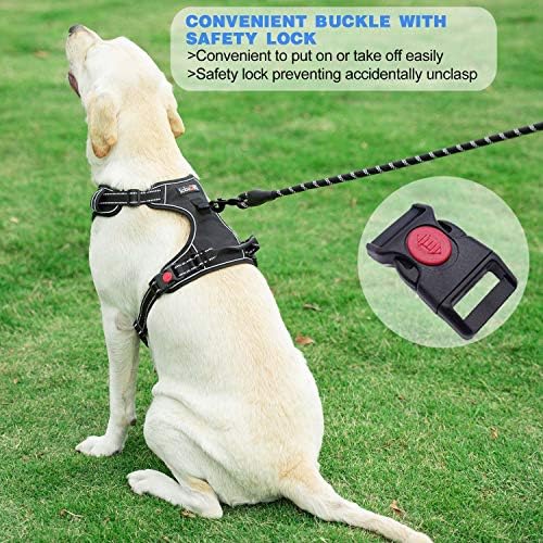 tobeDRI No Pull Dog Harness Adjustable Reflective Oxford Easy Control Medium Large Dog Harness with A Free Heavy Duty 5ft Dog Leash, Black/Red, XL - Image 4