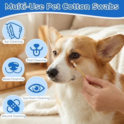 Dog Ear Swabs, 6 Inch Long Cotton Swabs (100 Pcs) - Image 5