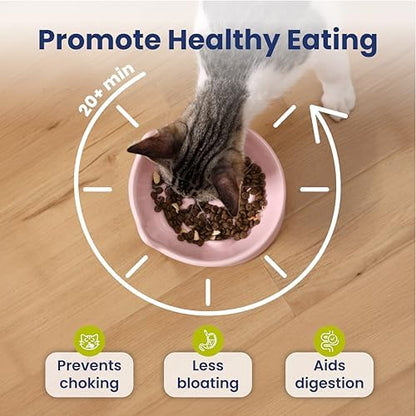 PawsPik Lynx Ceramic Raised Slow Dog & Cat Elevated Food Bowl, Quartz Pink - Image 3