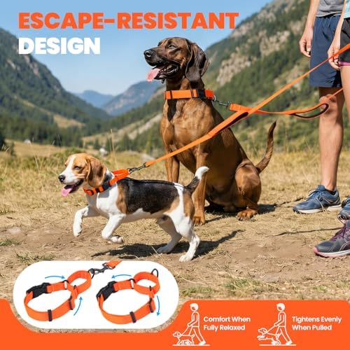 VIVAGLORY Double Handle Dog Leash Twingrip, 5ft x 1in, S, Orange - Image 2