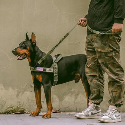 Forestpaw Tactical Dog Leash for Large Dogs, Green, 4-5FT - Image 3