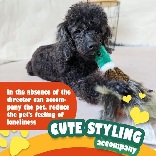 ALL FOR PAWS Duck Squeaky Doy Toy, Duck Dog Toy for Medium Large Breed, Puppy Fetch Toy with Squeaker, Plush Chew Dog Toy, 18 x 9.1 x 3.9 inches, Classic - Mallard L - Image 6
