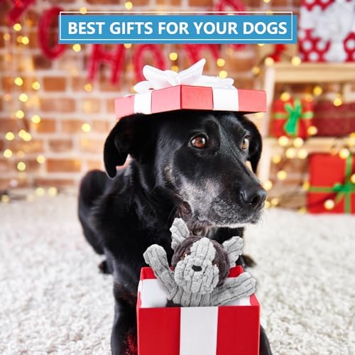 Letsmeet Plush Dog Squeak Toys with Crinkle Paper - Pull Interactive Tug of War Dog Toy, Great for Dental Health, Strengthening Bonds and Anxiety Relief for Puppies, Small, Medium, Large Dogs - Image 7