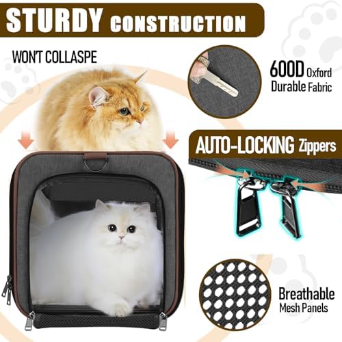 GAPZER Large Cat Carrier Soft, Collapsible Travel Pet Carry Bag, Small Dogs - Image 2