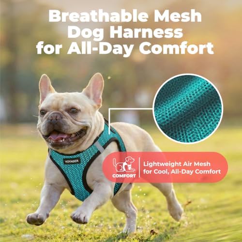 Voyager Step-in Air Dog Vest Harness - Turquoise 2-Tone, Large - Image 4