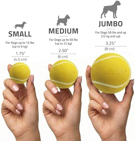 Playology Squeaky Chew Ball Dog Toy - Medium, Chicken Scent, 2-Pack - Image 5