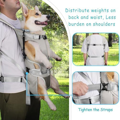 PetBonus Pet Front Dog Carrier Backpacks, Adjustable Pet Backpack, Legs Out Easy-fit Puppy Chest Carrier for Medium Small Dogs, Hands Free for Hiking, Cycling (Grey, XL) - Image 3