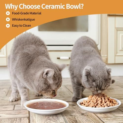 5.9 inch Ceramic Cat Bowls,Wide Shallow Dishes,Whisker-Friendly Plates,Food and Water Bowl for Indoor Cats,-10 oz,3 Pack - Image 5