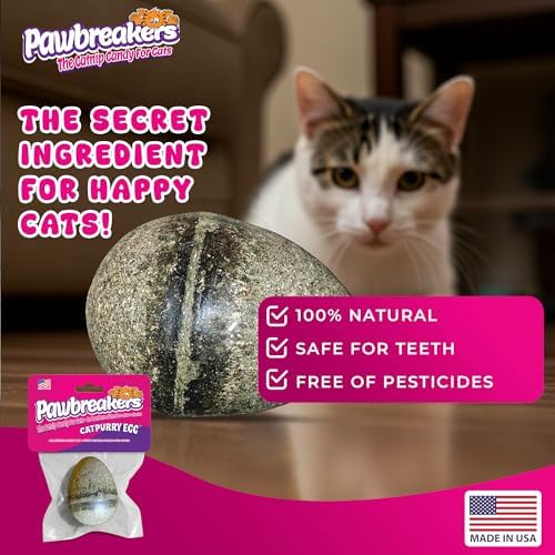 Pawbreakers 2 Catpurry Eggs - All-Natural cat Treats, Medical Grade Catnip Treat and Toy, Catnip for Cats for Relaxed Play, Safe & Digestible, Hypoallergenic & Vegan - 2.25 inches Tall, Made in USA - Image 2