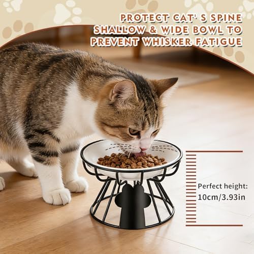 Shallow Cat Dishes with Metal Stand,Elevated Cat Bowl,Ceramic Cat Bowls,Raised Cat Food Bowls,Pet Feeder for Indoor Cats,Kitten and Small Dogs, Dishwasher Safe - Image 5
