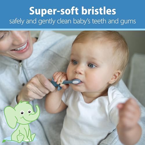 Dr. Brown's Infant-to-Toddler Toothbrush, Soft and Safe Baby Training Brush, Elephant, Blue, 0-3 years, 2 Pack - Image 2