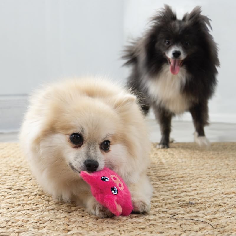 KONG Snuzzles Kiddos Mini Extra Small Dog Toy - Soft Plush Squeaky Toy for Small Dogs & Puppies (Frog/Pig/Duck Combo) - Image 2
